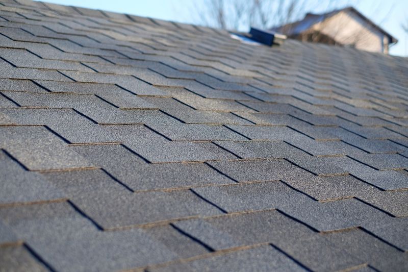 Traditional Asphalt Shingle Roof