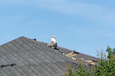 Shingle Roof Repair Work